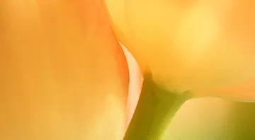 360_x_640_(10)_26714.jpg