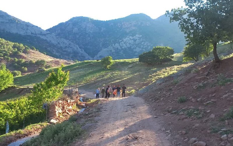 photo18569794084