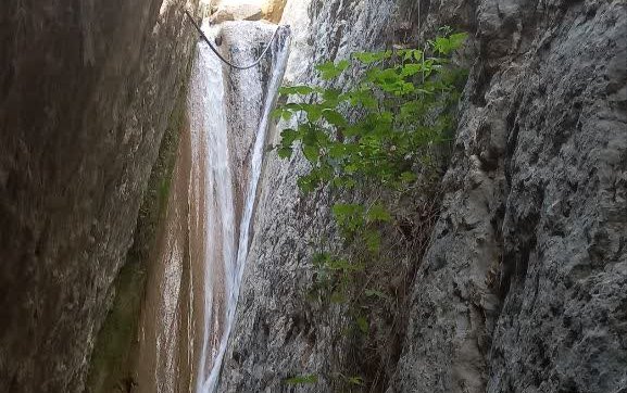photo18577353576