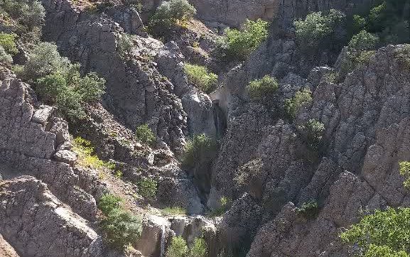 photo18577354935